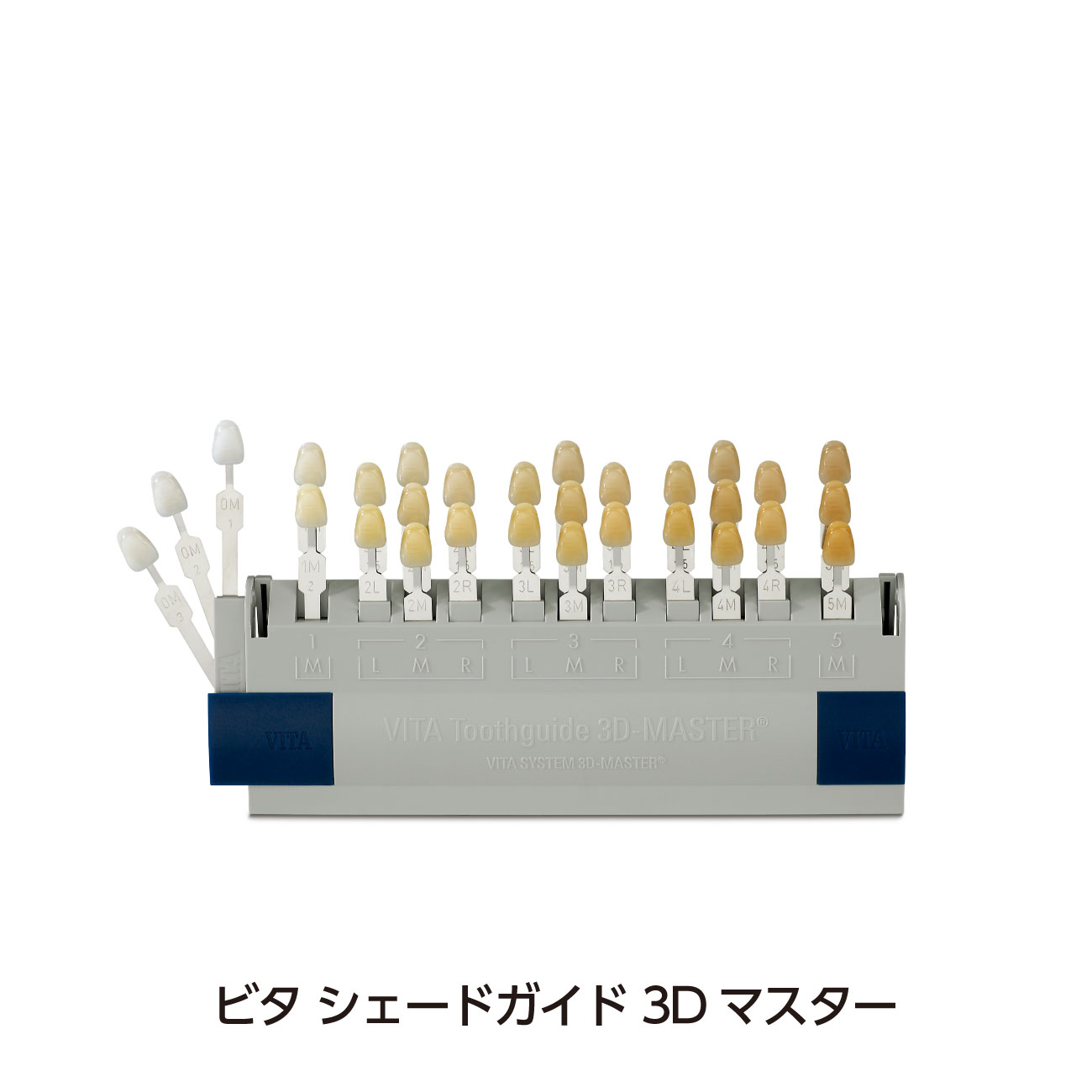 TopSeller 歯シェードガイド 色見本 ホワイトニング用 3D 歯列模型 歯列モデル 20色 20段階 収納ケース付き